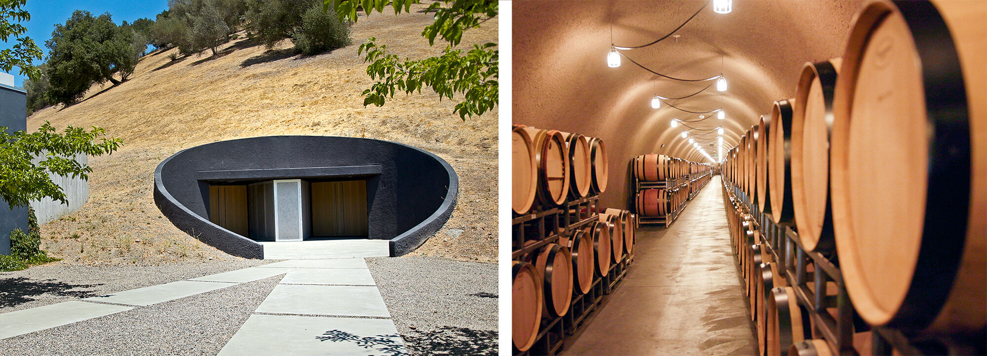 Odette wine cave